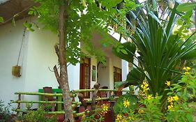 N S K Green Villa