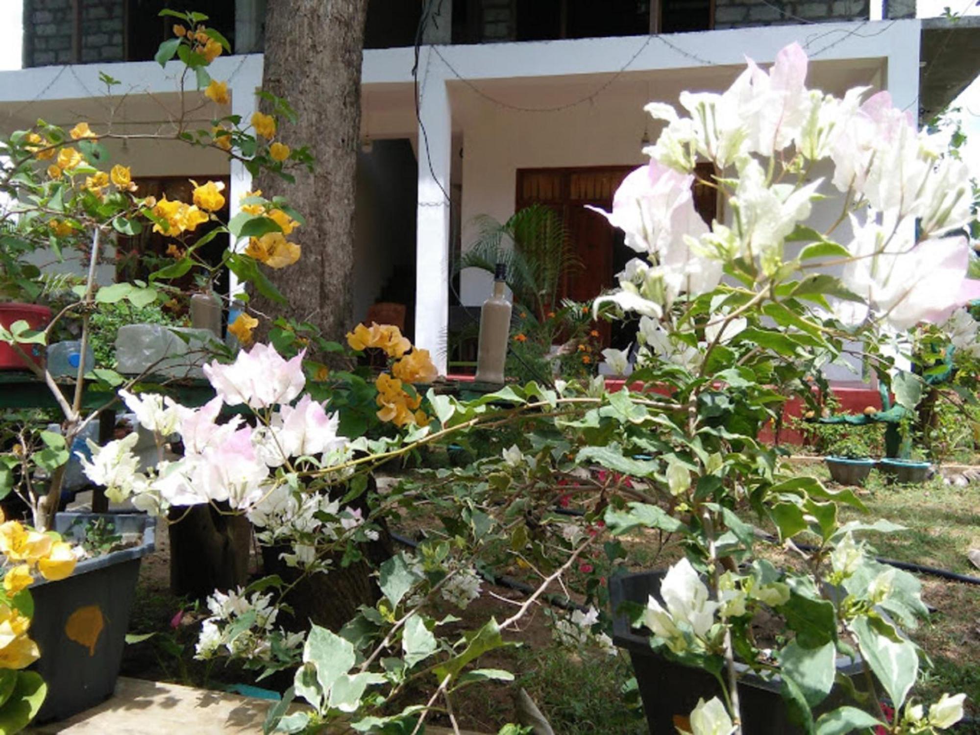 N S K Green Villa Sigirîya Extérieur photo