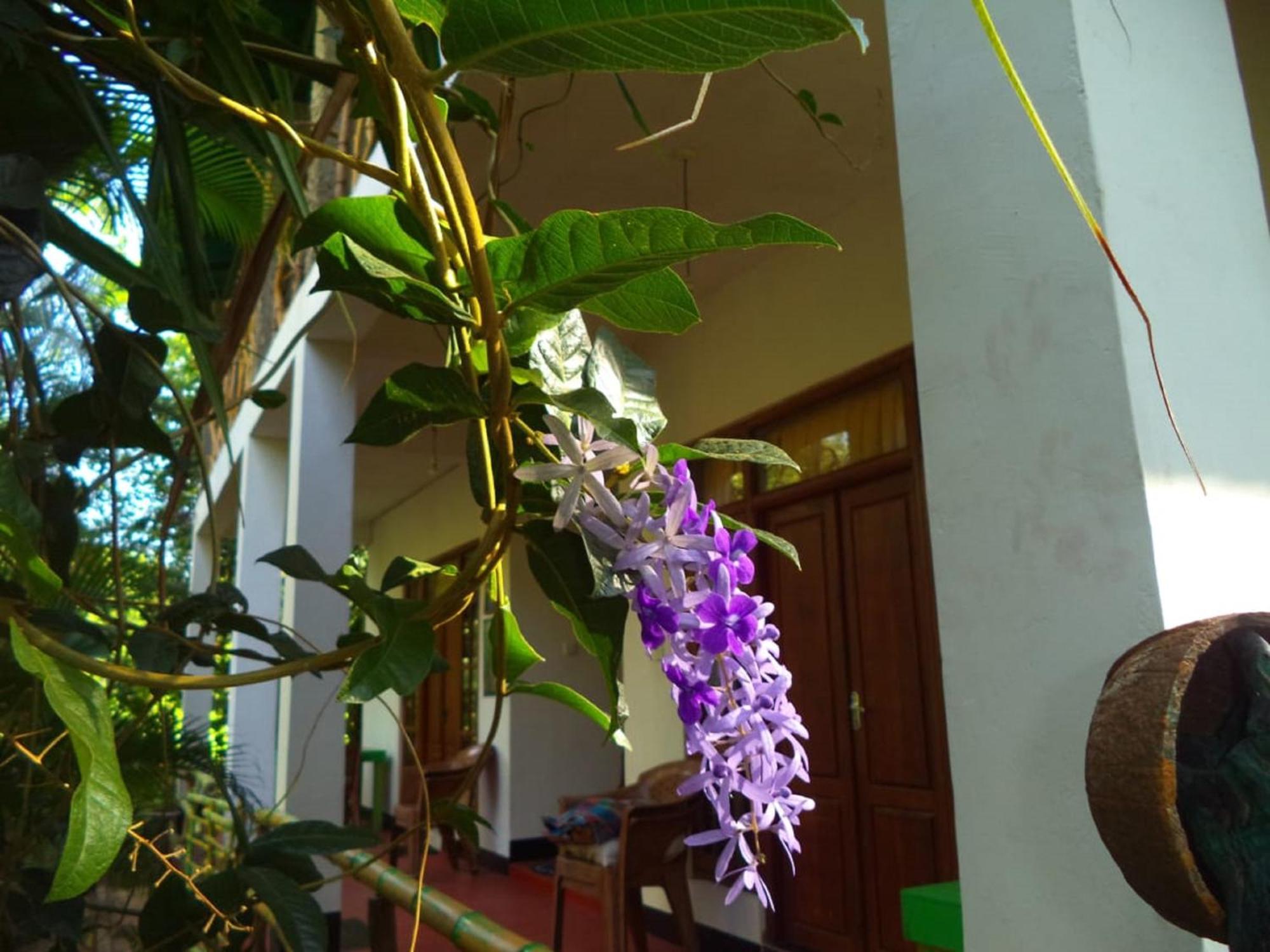 N S K Green Villa Sigirîya Extérieur photo
